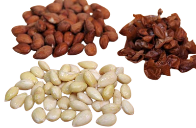 Almond Skin